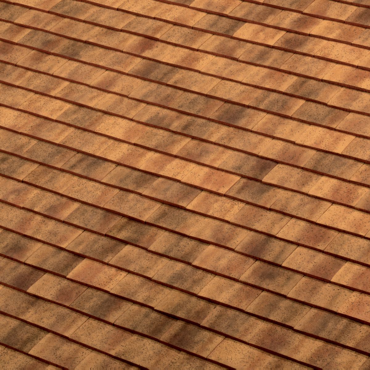 TERREAL Tuile plate terre cuite Rustique 1NO 17x27cm Sablé champ. Réf