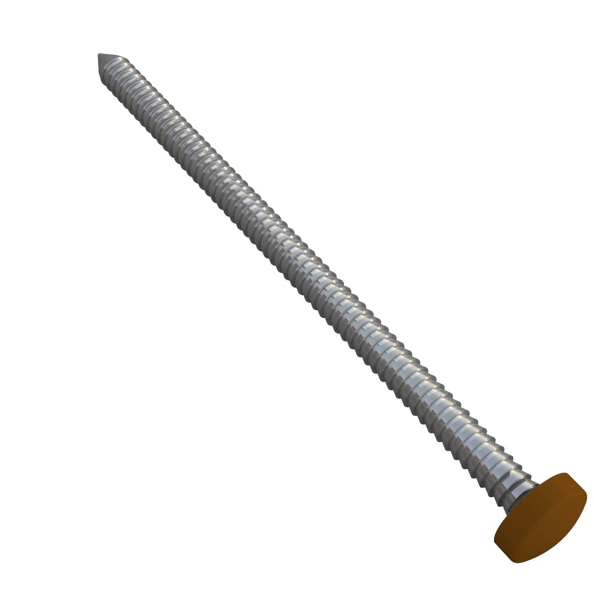 Pointes Anna - Boîte étroite Semelle Souple